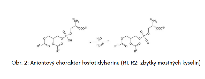 obr2.png